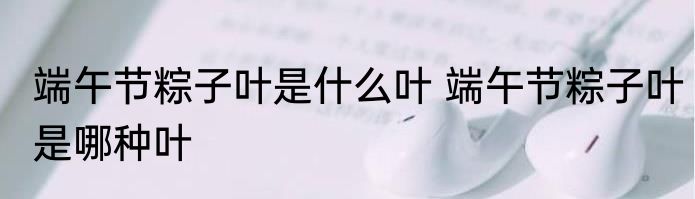 端午节粽子叶是什么叶 端午节粽子叶是哪种叶