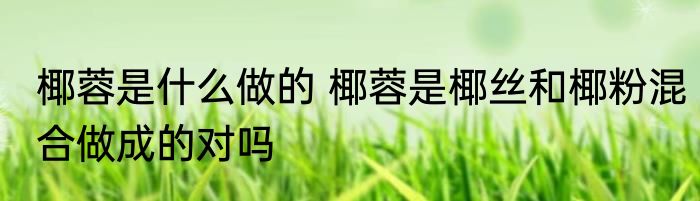椰蓉是什么做的 椰蓉是椰丝和椰粉混合做成的对吗