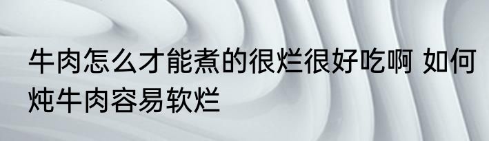 牛肉怎么才能煮的很烂很好吃啊 如何炖牛肉容易软烂
