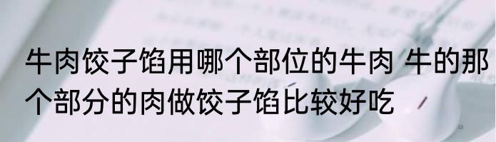 牛肉饺子馅用哪个部位的牛肉 牛的那个部分的肉做饺子馅比较好吃