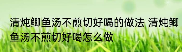 清炖鲫鱼汤不煎切好喝的做法 清炖鲫鱼汤不煎切好喝怎么做