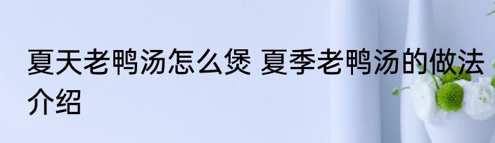 夏天老鸭汤怎么煲 夏季老鸭汤的做法介绍