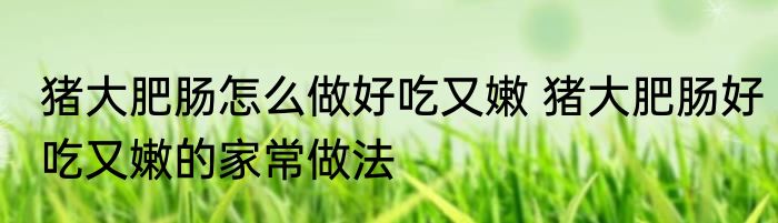 猪大肥肠怎么做好吃又嫩 猪大肥肠好吃又嫩的家常做法