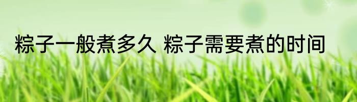 粽子一般煮多久 粽子需要煮的时间