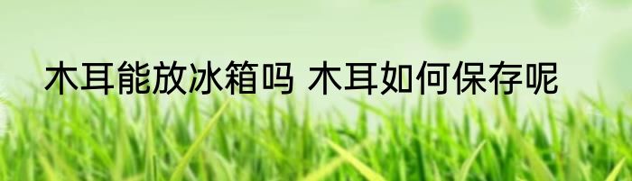 木耳能放冰箱吗 木耳如何保存呢