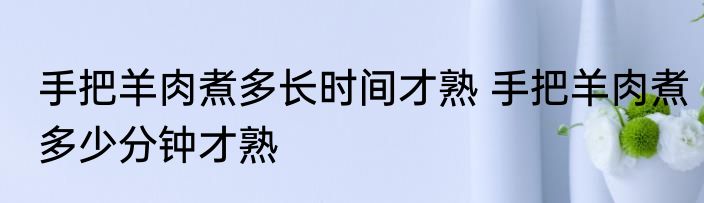 手把羊肉煮多长时间才熟 手把羊肉煮多少分钟才熟