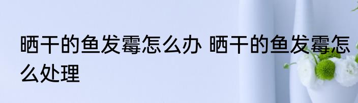 晒干的鱼发霉怎么办 晒干的鱼发霉怎么处理
