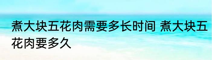 煮大块五花肉需要多长时间 煮大块五花肉要多久
