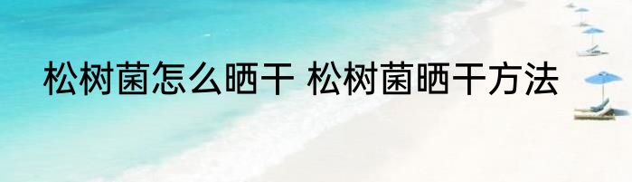 松树菌怎么晒干 松树菌晒干方法