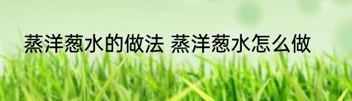 蒸洋葱水的做法 蒸洋葱水怎么做