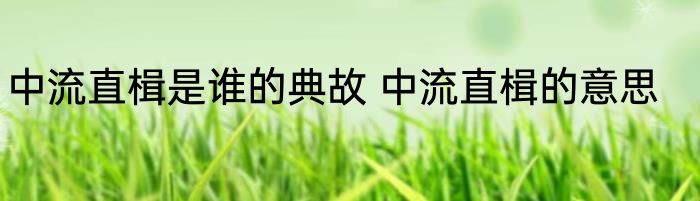 中流直楫是谁的典故 中流直楫的意思