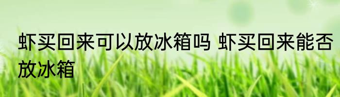虾买回来可以放冰箱吗 虾买回来能否放冰箱
