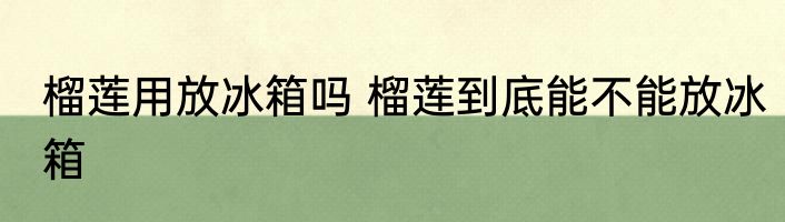 榴莲用放冰箱吗 榴莲到底能不能放冰箱