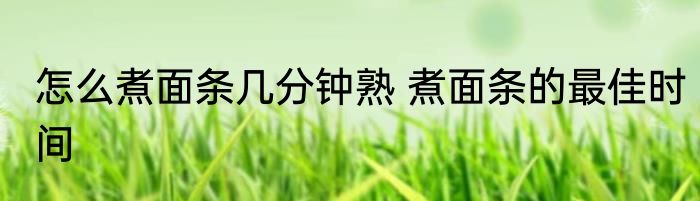 怎么煮面条几分钟熟 煮面条的最佳时间