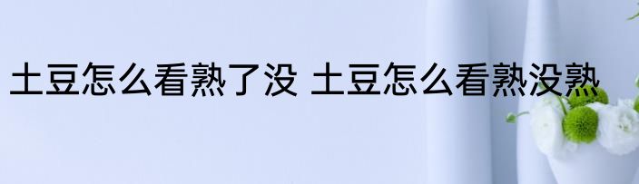 土豆怎么看熟了没 土豆怎么看熟没熟