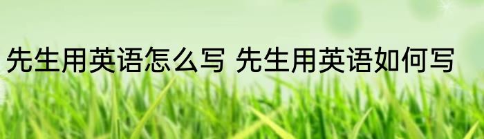 先生用英语怎么写 先生用英语如何写