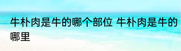 牛朴肉是牛的哪个部位 牛朴肉是牛的哪里