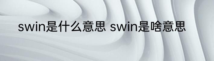 swin是什么意思 swin是啥意思