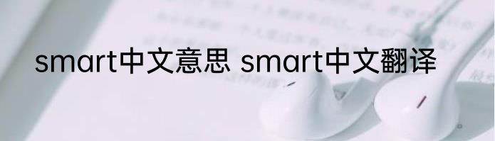 smart中文意思 smart中文翻译