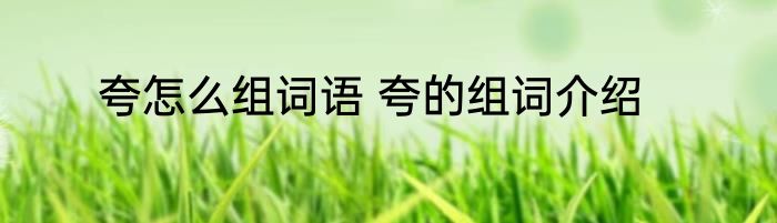 夸怎么组词语 夸的组词介绍