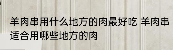 羊肉串用什么地方的肉最好吃 羊肉串适合用哪些地方的肉