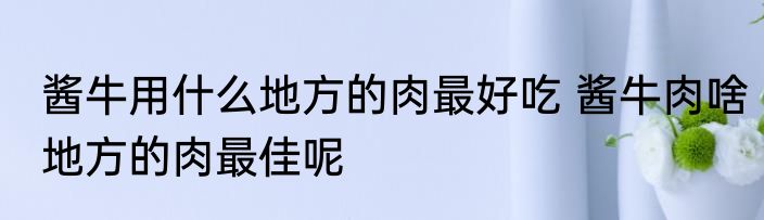 酱牛用什么地方的肉最好吃 酱牛肉啥地方的肉最佳呢