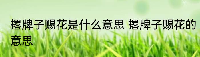 撂牌子赐花是什么意思 撂牌子赐花的意思