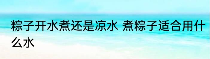 粽子开水煮还是凉水 煮粽子适合用什么水