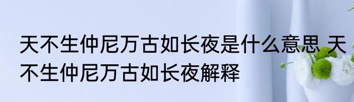 天不生仲尼万古如长夜是什么意思 天不生仲尼万古如长夜解释