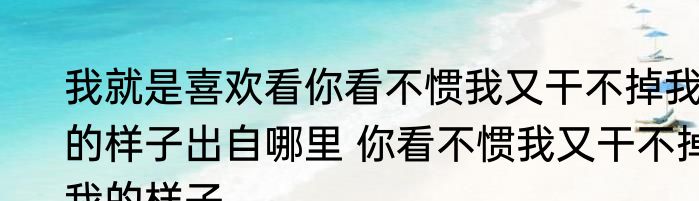 我就是喜欢看你看不惯我又干不掉我的样子出自哪里 你看不惯我又干不掉我的样子