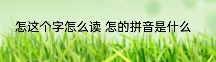 怎这个字怎么读 怎的拼音是什么