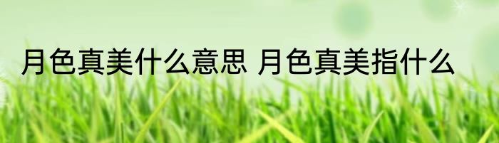 月色真美什么意思 月色真美指什么