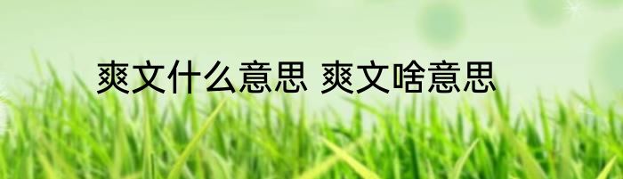 爽文什么意思 爽文啥意思