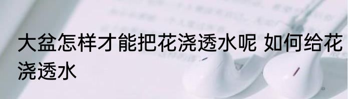 大盆怎样才能把花浇透水呢 如何给花浇透水