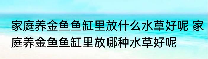 家庭养金鱼鱼缸里放什么水草好呢 家庭养金鱼鱼缸里放哪种水草好呢