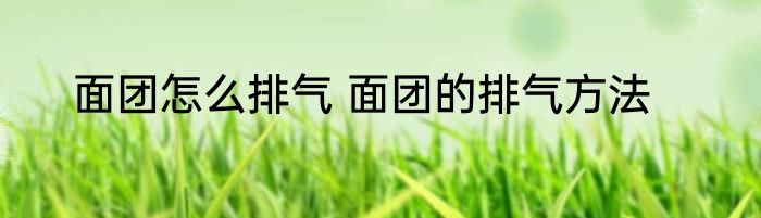 面团怎么排气 面团的排气方法