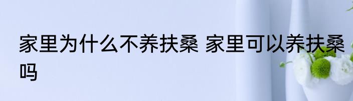 家里为什么不养扶桑 家里可以养扶桑吗