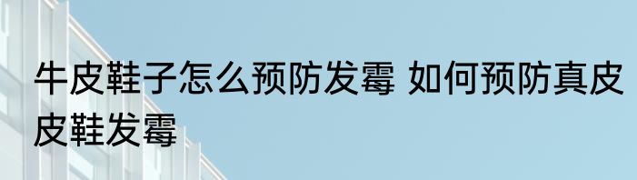 牛皮鞋子怎么预防发霉 如何预防真皮皮鞋发霉