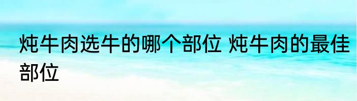 炖牛肉选牛的哪个部位 炖牛肉的最佳部位