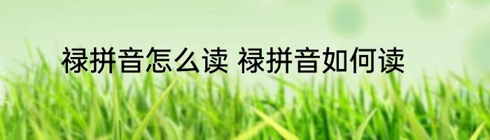 禄拼音怎么读 禄拼音如何读