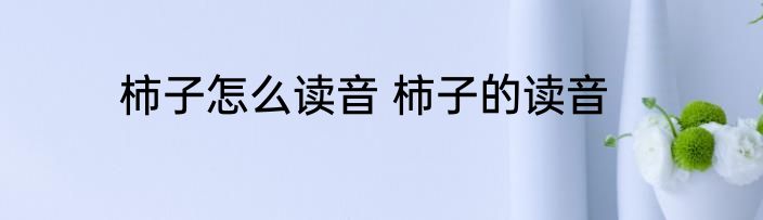 柿子怎么读音 柿子的读音