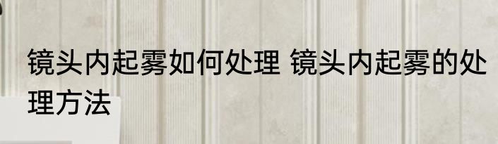 镜头内起雾如何处理 镜头内起雾的处理方法