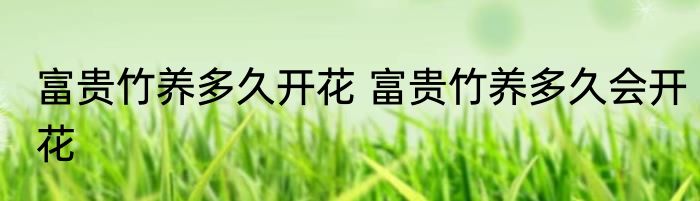 富贵竹养多久开花 富贵竹养多久会开花