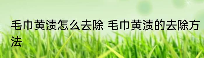 毛巾黄渍怎么去除 毛巾黄渍的去除方法