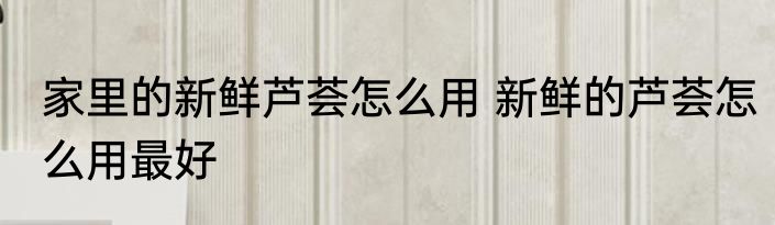 家里的新鲜芦荟怎么用 新鲜的芦荟怎么用最好