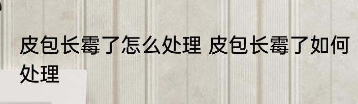 皮包长霉了怎么处理 皮包长霉了如何处理