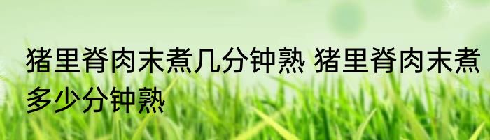 猪里脊肉末煮几分钟熟 猪里脊肉末煮多少分钟熟