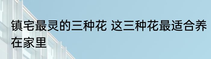 镇宅最灵的三种花 这三种花最适合养在家里