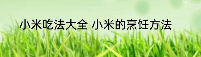 小米吃法大全 小米的烹饪方法