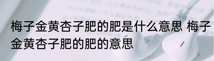 梅子金黄杏子肥的肥是什么意思 梅子金黄杏子肥的肥的意思
